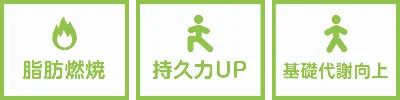 大人クラスプログラム「キックボクシング」効果・影響